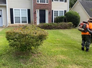 Bush Trimming by Ernest Johnson for TONISHA W. in Lawrenceville, GA