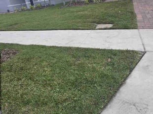 Sara A.'s Lawn Mowing Service service result