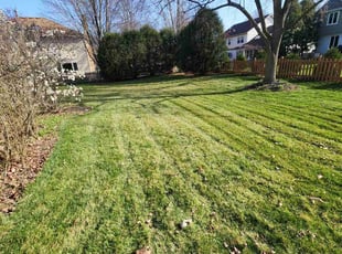 Krystal Q.'s Lawn Care service result