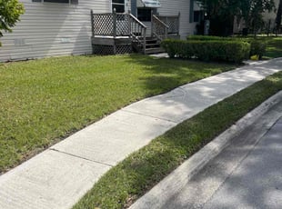 Diana W.'s Lawn Care service result