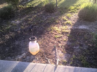 Weeding by Carlos Gomez for Clay R. in Cary, NC
