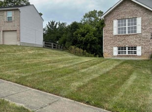 Brendon W.'s Lawn Care service result