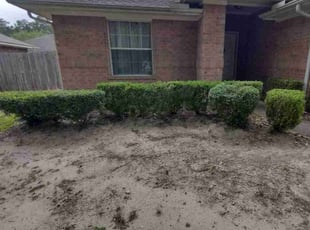 Bush Trimming by Randy Jordan for Peggy B. in Conroe, TX