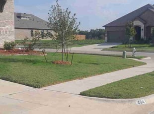 Jeff R.'s Yard Cutting service result