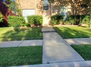 Marc M.'s Lawn Mowing Service service result