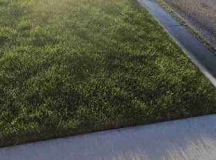 John C.'s Lawn Mowing Service service result