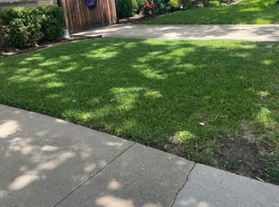 Jason M.'s Lawn Care service result