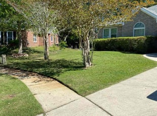 Lauren C.'s Lawn Maintenance service result