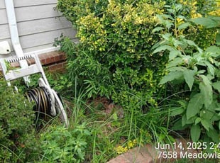 Weeding by Carmen Euell for Andrew C. in Memphis, TN