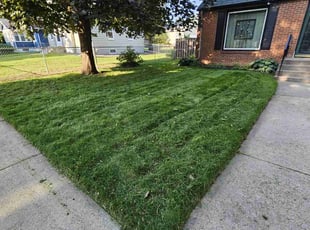 Mackenzie R.'s Lawn Mowing service result