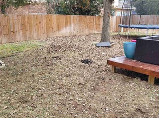 Leaf Removal by Jason Westgor for Carlton P. in San Antonio, TX