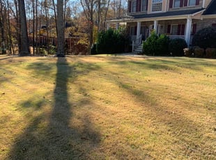 Leaf Removal by William Clark for Esther B. in Villa Rica, GA