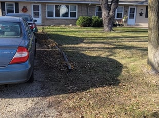Leaf Removal by Kyle Anderson for Vicky D. in New Brighton, MN