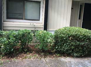 Bush Trimming by Duanne Browne for Lexie B. in Lithonia, GA