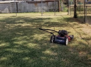 Cleanups by Andrew Abrego for belinda g. in San Antonio, TX