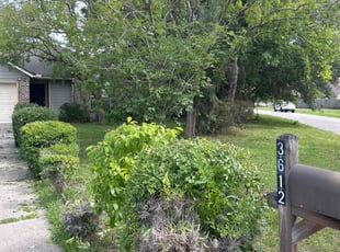 Bush Trimming by Lola Ohonba for Asia W. in Orange Park, FL