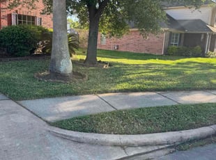 Todd B.'s Lawn Mowing service result