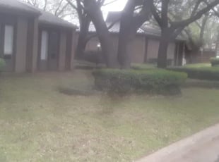 Cleanups by Alejandrina Ballesteros for Rachael F. in Arlington, TX