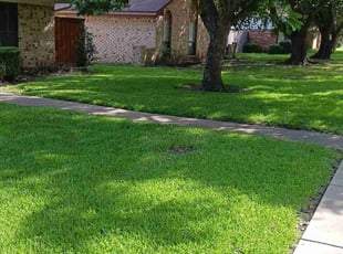 Gail C.'s Lawn Service service result