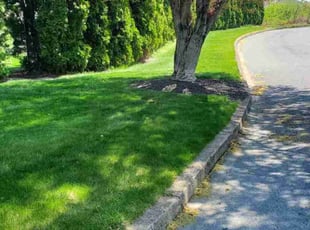 Ellie C.'s Lawn Mowing Service service result