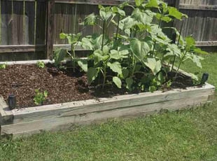 Mulching by Joseph Durgin for Travis M. in North Charleston, SC