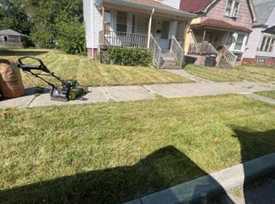 Stephen R.'s Yard Cutting service result