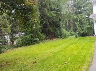 Heather P.'s Lawn Care service result