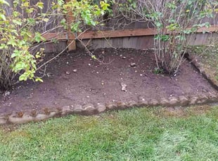 Weeding by Robert Martin for Andy A. in Kenmore, WA