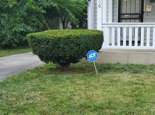 Bush Trimming by Christensen Ransom for Tiara B. in Columbus, OH