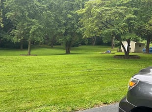 Florence R.'s Lawn Mowing service result