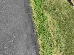 Elizabeth M.'s Lawn Mowing service result