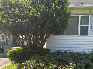Bush Trimming by Mark Baugh for Aurelia C. in Rochester, NY