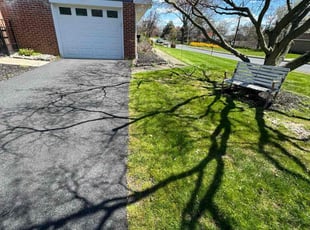Deja I.'s Grass Cutting service result