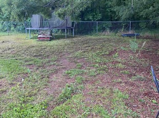 Bush Trimming by William Hall for Nikkii R. in Clayton, NC