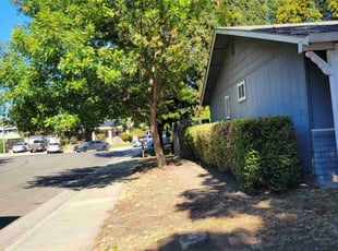 Bush Trimming by Juan gavino Barrera Rodriguez for Liss M. in Stockton, CA