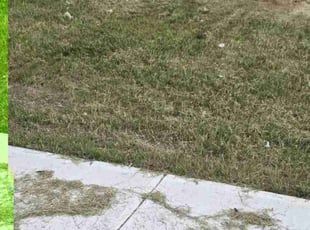 Cleanups by Jermaine Dean for Michael F. in Mount Holly, NC