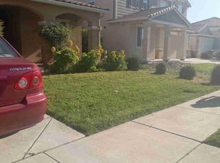Sandra B.'s Grass Cutting service result