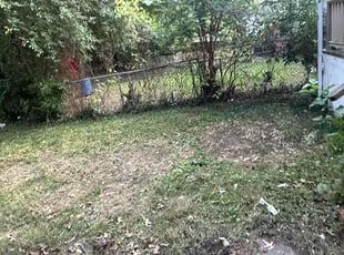 Leaf Removal by Jemuel Thompson for Blair L. in Richmond, VA