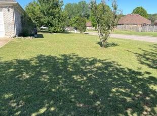 stan l.'s Lawn Service service result