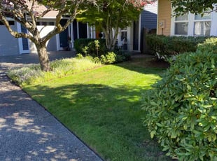 Michael J.'s Lawn Service service result