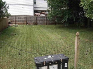 Leaf Removal by Antavious Douglas for Rachel N. in Atlanta, GA
