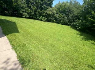 Ron R.'s Lawn Care service result