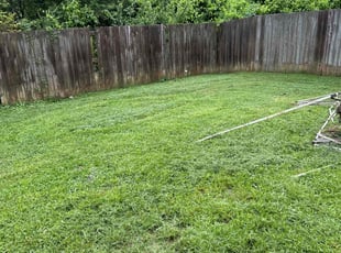 Cleanups by Timothy Pinter for Travis O. in Nashville, TN