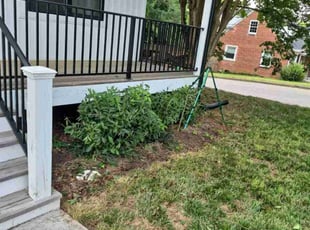 Bush Trimming by Joshua West for Petula B. in Richmond, VA