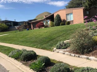 Meadow M.'s Lawn Care service result