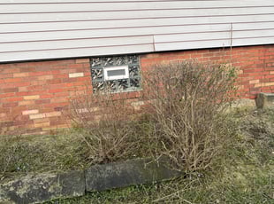 Bush Trimming by Bradley Taylor for Tammy S. in Ambridge, PA