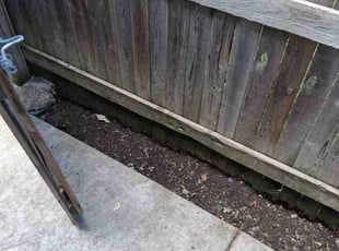 Weeding by Venus Dunn for Jessica T. in Minneapolis, MN