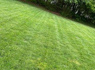 Steve M.'s Lawn Care service result