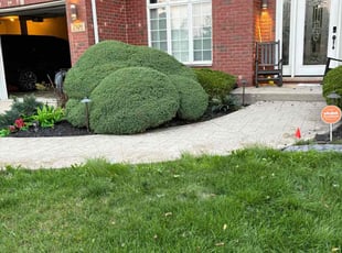 Bush Trimming by Maurice Williams for Tomeka H. in Frankfort, IL