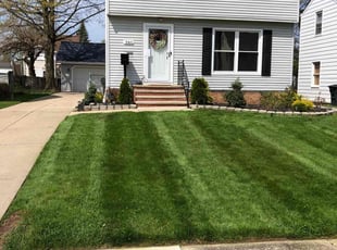 Jael J.'s Lawn Service service result